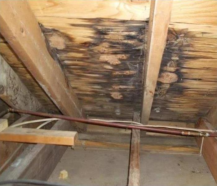 An attic ceiling with water damage