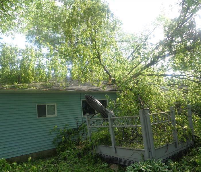 Fallen tree on top of a house after a storm
